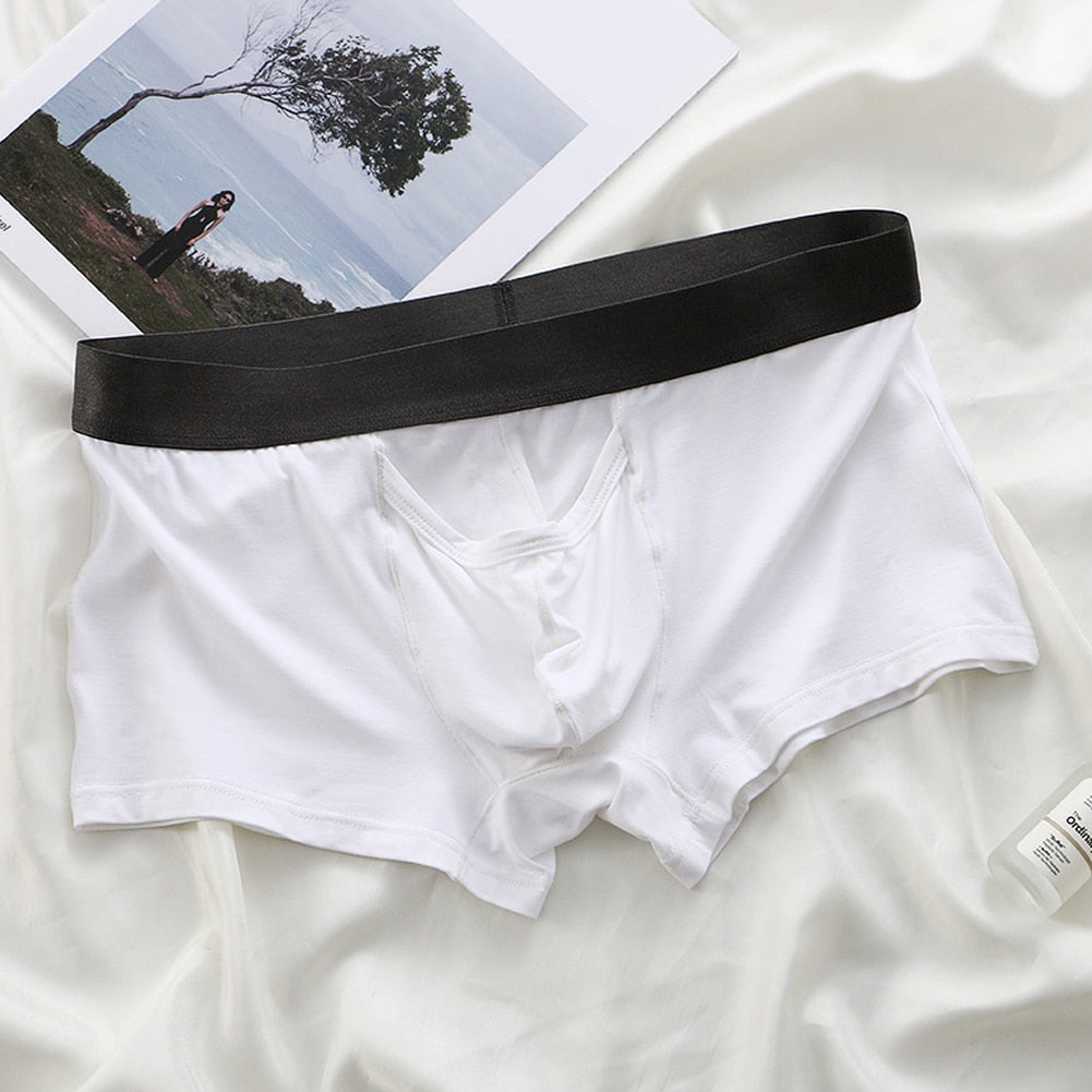 Men's Boxer Briefs Underwear